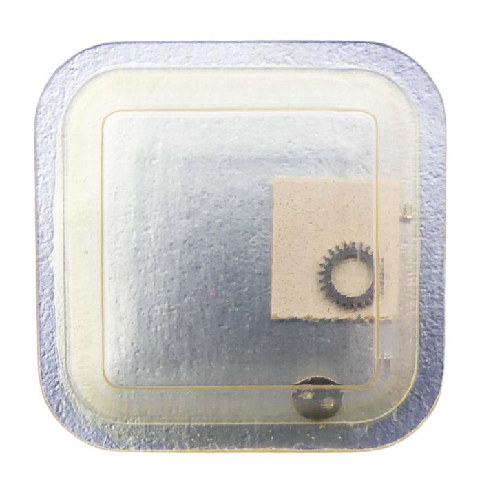 Longines 14.16 - 420 Roue de couronne (à l'unité) - Crown wheel (per unit)