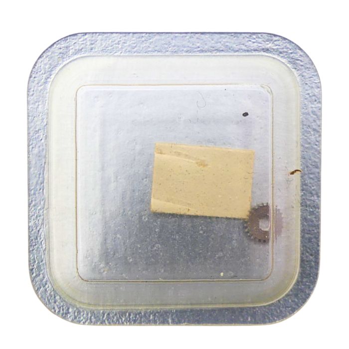 Longines L.890.1 - 420 Roue de couronne (à l'unité) - Crown wheel (per unit)