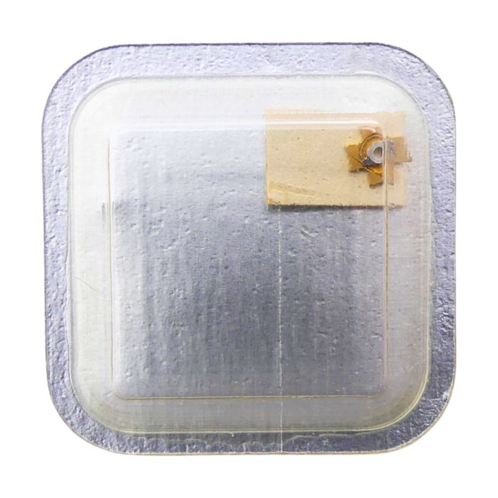 Tissot 2461/2481 - 2556 Roue entraîneuse de l'étoile de quantième ou de l'indicateur de quantième (à l'unité) - Date star or dat