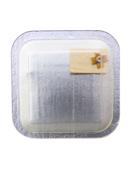 Tissot 2461/2481 - 2556 Roue entraîneuse de l'étoile de quantième ou de l'indicateur de quantième (à l'unité) - Date star or dat