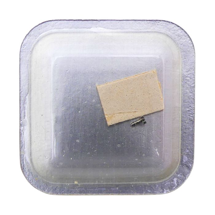 Tissot 709-709/1/2 - 240 Chaussée lanternée (à l'unité) - Cannon pinon with clam notch (per unit)