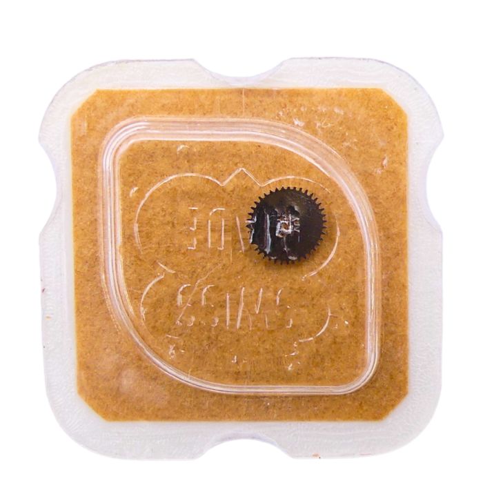 AS 5100 - 260 Roue de minuterie (à l'unité) - Minute wheel (per unit)