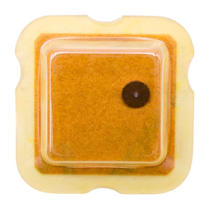 ETA 2870 - 1481 Mobile de réduction (roue de transmission) (à l'unité) - Reduction gear (transmission wheel) (per unit)