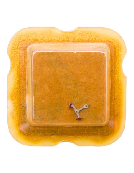 ETA 2850 - 710 Ancre montée (à l'unité) - Jewelled pallet fork and staff (per unit)
