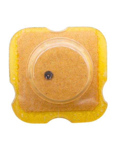 ETA 2630 - 2543 Roue intermédiaire de quantième (à l'unité) - Intermediate date wheel (per unit)