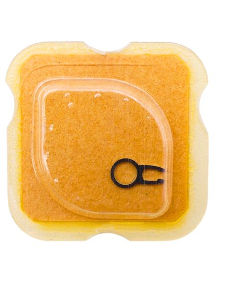 IWC 403 - 300 Flèche de raquette (à l'unité) - Regulator pointer (per unit)