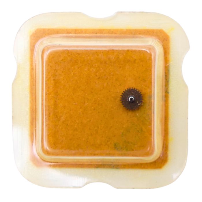 Omega 710 - 1218 Chaussée lanternée (à l'unité) - Cannon pinon with clam notch (per unit)