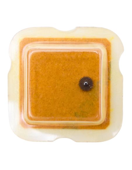 Omega 710 - 1218 Chaussée lanternée (à l'unité) - Cannon pinon with clam notch (per unit)