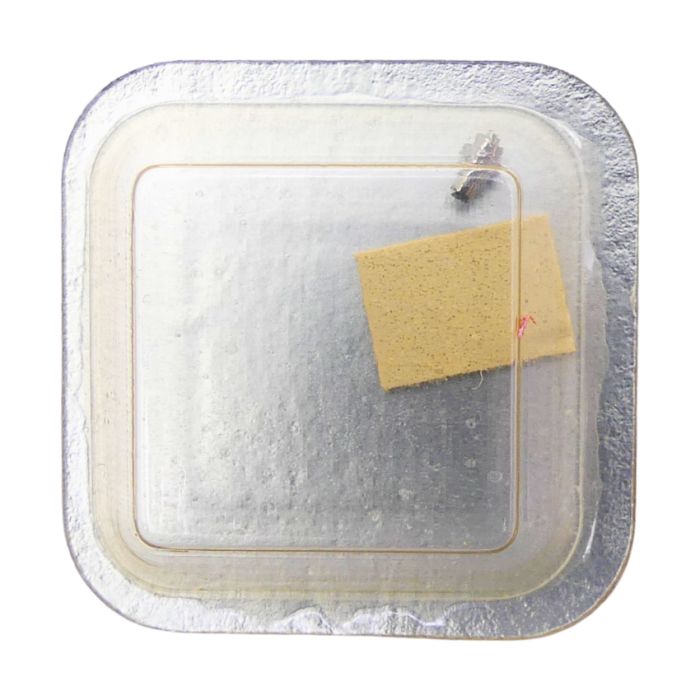 Omega 484 - 1204 Arbre de barillet (à l'unité) - Barrel arbor (per unit)