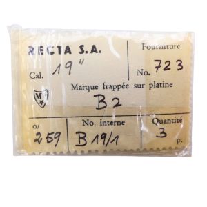 Recta 19 - 723 Axe de balancier (à l'unité) - Balancer staff pivoted (per unit)