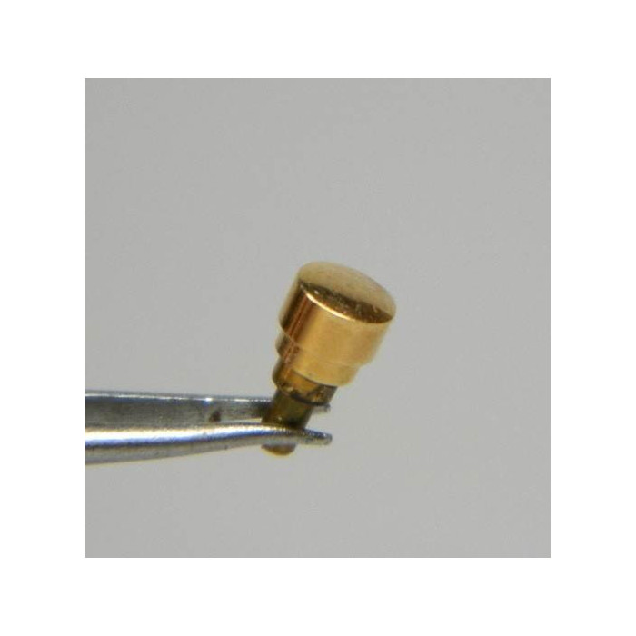 LIP stop plaqué poussoir