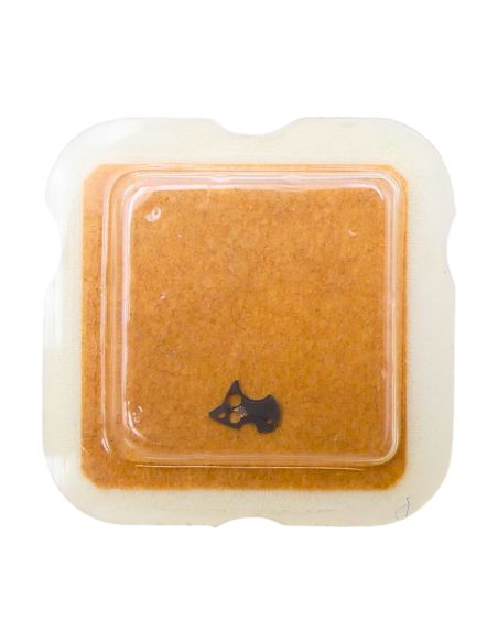 ETA 2541 - 2535 Plaque de maintien de l'étoile de quantième et de l'indicateur de quantième (à l'unité) - Date star and date ind