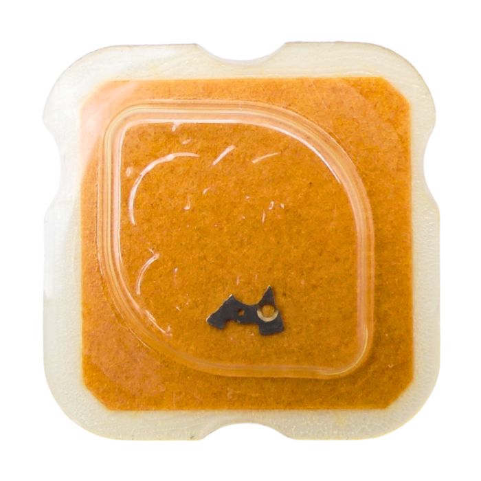 ETA 2641 - 2535 Plaque de maintien de l'étoile de quantième et de l'indicateur de quantième (à l'unité) - Date star and date ind