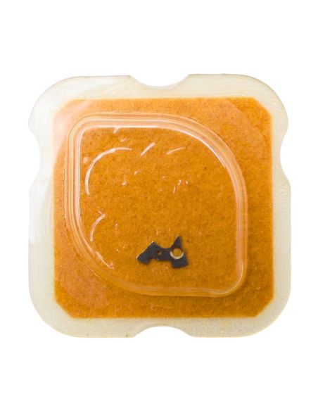 ETA 2641 - 2535 Plaque de maintien de l'étoile de quantième et de l'indicateur de quantième (à l'unité) - Date star and date ind