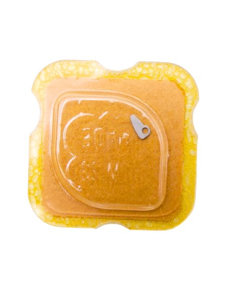 FHF 66-4 - 2535 Plaque de maintien de l'étoile de quantième et de l'indicateur de quantième (à l'unité) - Date star and date ind