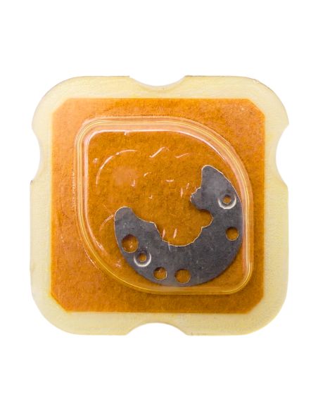 FHF 374 - 2535 Plaque de maintien de l'étoile de quantième et de l'indicateur de quantième (à l'unité) - Date star and date indi