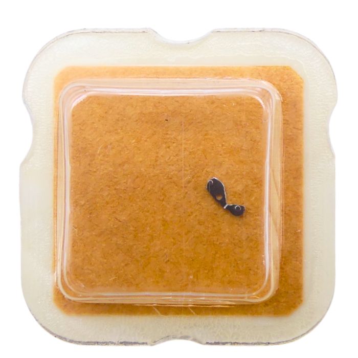 ETA 956.101 - 2539 Commande du correcteur de quantième (à l'unité) - Date corrector lever (per unit)