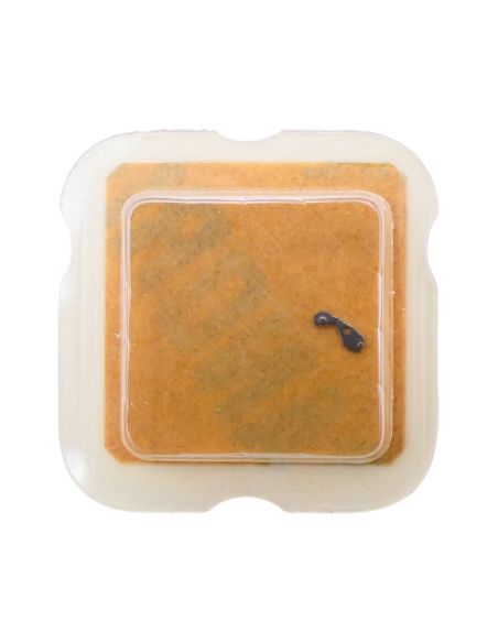 ETA 966.101 - 2539 Commande du correcteur de quantième (à l'unité) - Date corrector lever (per unit)