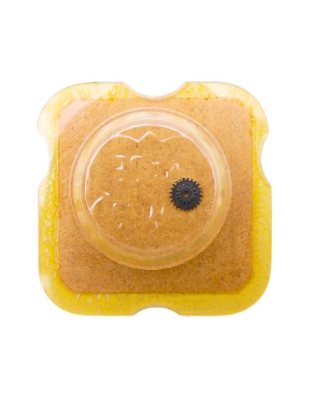 ETA 2409 - 2543 Roue intermédiaire de quantième (à l'unité) - Intermediate date wheel (per unit)