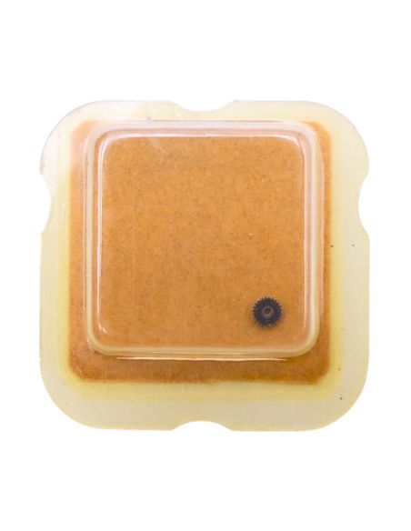 ETA 2602 - 2543 Roue intermédiaire de quantième (à l'unité) - Intermediate date wheel (per unit)