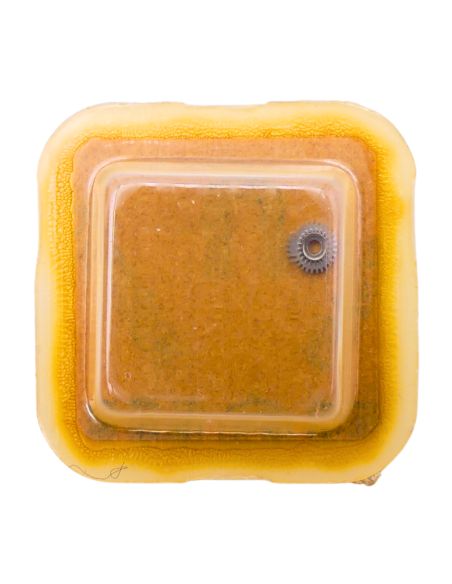 FHF 372 - 2543 Roue intermédiaire de quantième (à l'unité) - Intermediate date wheel (per unit)