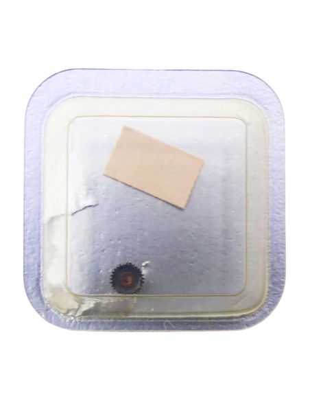 Longines L.950.2 - 2543 Roue intermédiaire de quantième (à l'unité) - Intermediate date wheel (per unit)