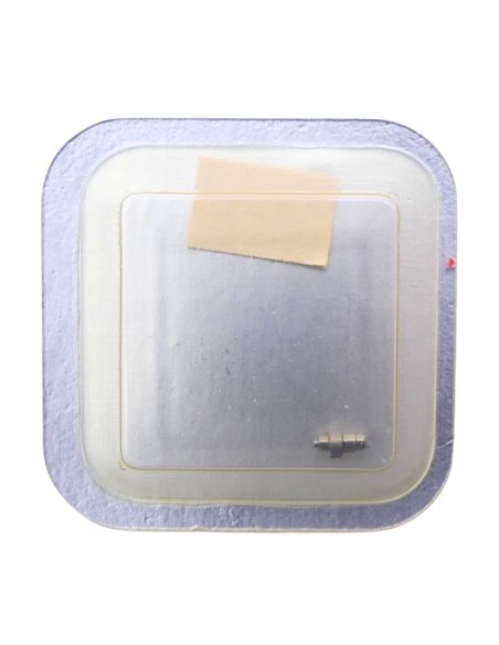 Certina 13-20/22 - 195 Arbre de barillet (à l'unité) - Barrel arbor (per unit)