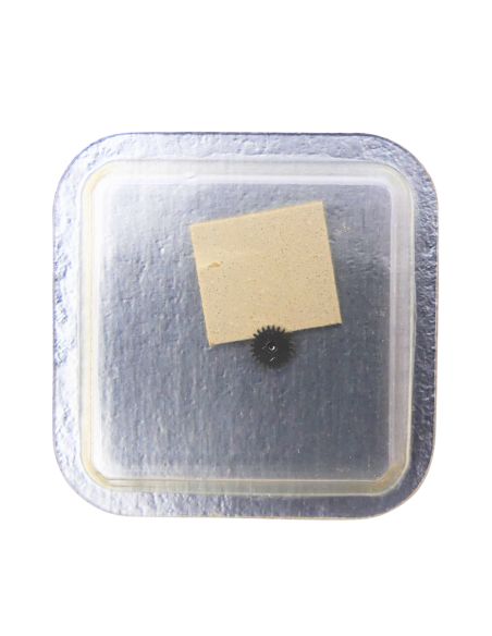 Certina 13-20/22 - 260 Roue de minuterie (à l'unité) - Minute wheel (per unit)