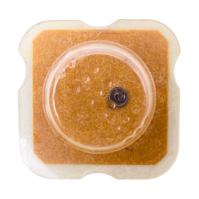 Bettlach 8135 - 1478 Roue ou pignon de masse oscillante - Oscillating wheight wheel or pinion