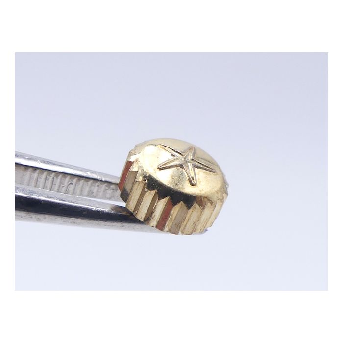 Aquastar Couronne acier - Steel crown