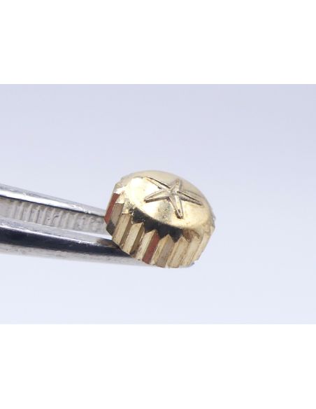 Aquastar Couronne acier - Steel crown