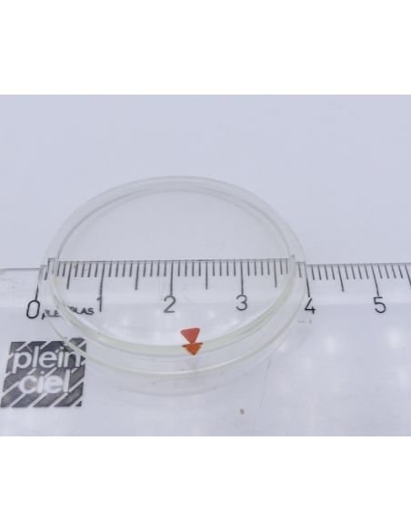 Aquastar Glasstar Verre - Glass