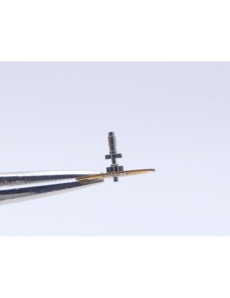 Longines 23M - 206 Roue de centre - Center wheel