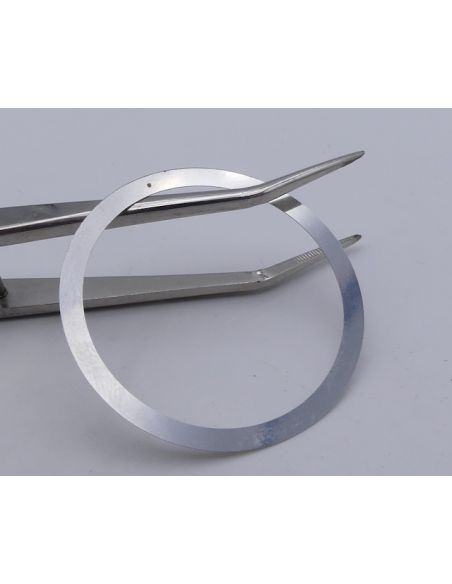 Rolex 1675 Ressort de Lunette - Spring for bezel - 316-16750