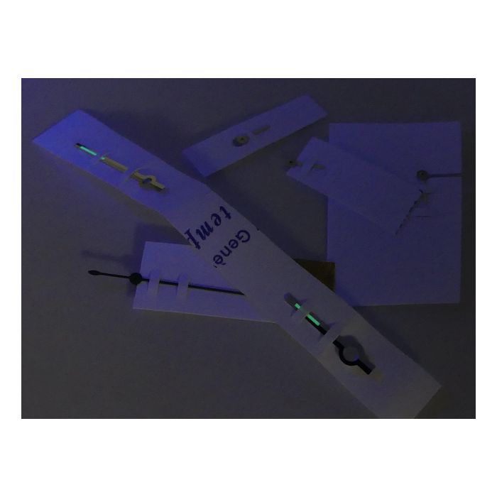 Rolex 6239 Daytona Jeu d'aiguilles - Hands set