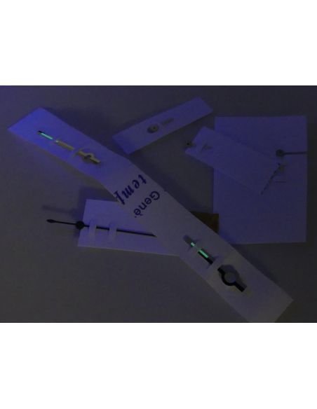 Rolex 6239 Daytona Jeu d'aiguilles - Hands set