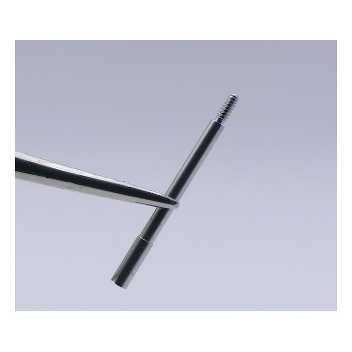 Cartier Pasha Vis de maillon - Link screw