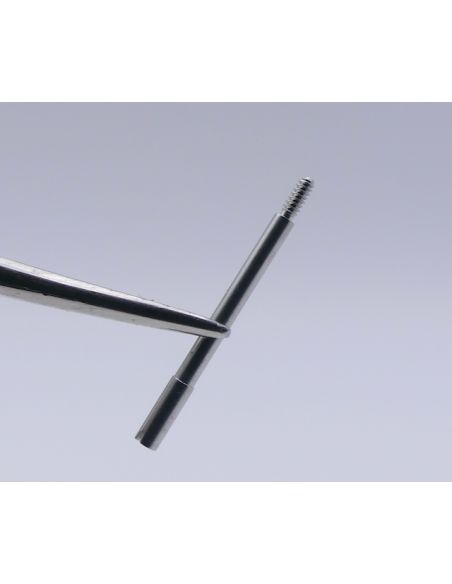 Cartier Pasha Vis de maillon - Link screw