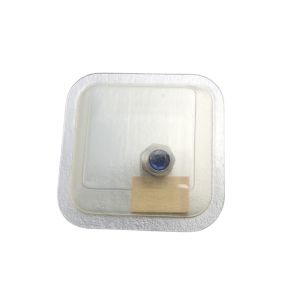 copy ofCartier Santos PM Couronne - Crown