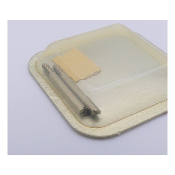 Cartier Vis de barrette - Lug screws - VA060007PM
