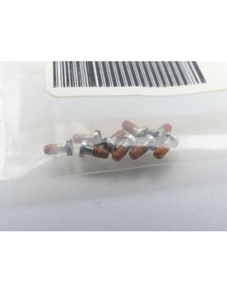 Breitling Chronomat évolution Vis de cavalier - Staple screw - 13356