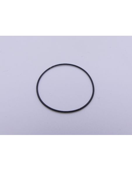Cartier Santos carrée joint de fond - Case seal - 20361913