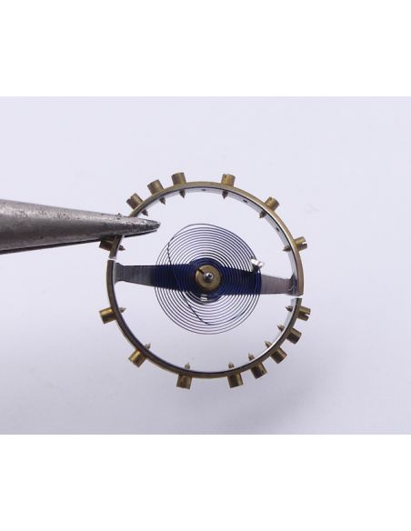 Omega 160 - 1327 Balancier - Balance