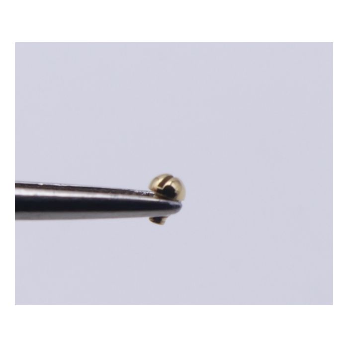 copy ofBreitling Antares Vis de lunette - Bezel screw - 81970