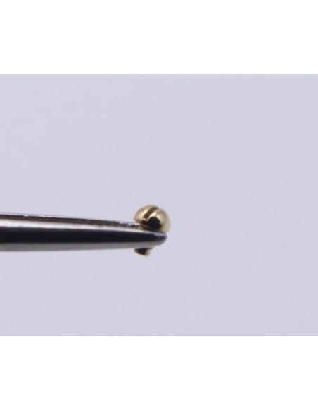 copy ofBreitling Antares Vis de lunette - Bezel screw - 81970