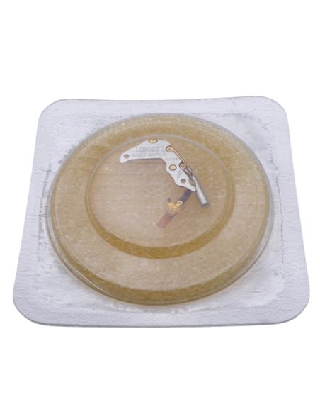 copy ofLongines 962.2 Module