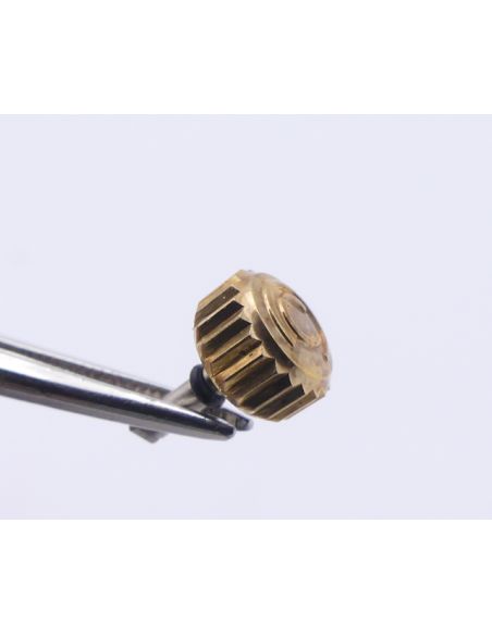 copy ofCertina19-300 Couronne dorée - Golden crown - ref: 340