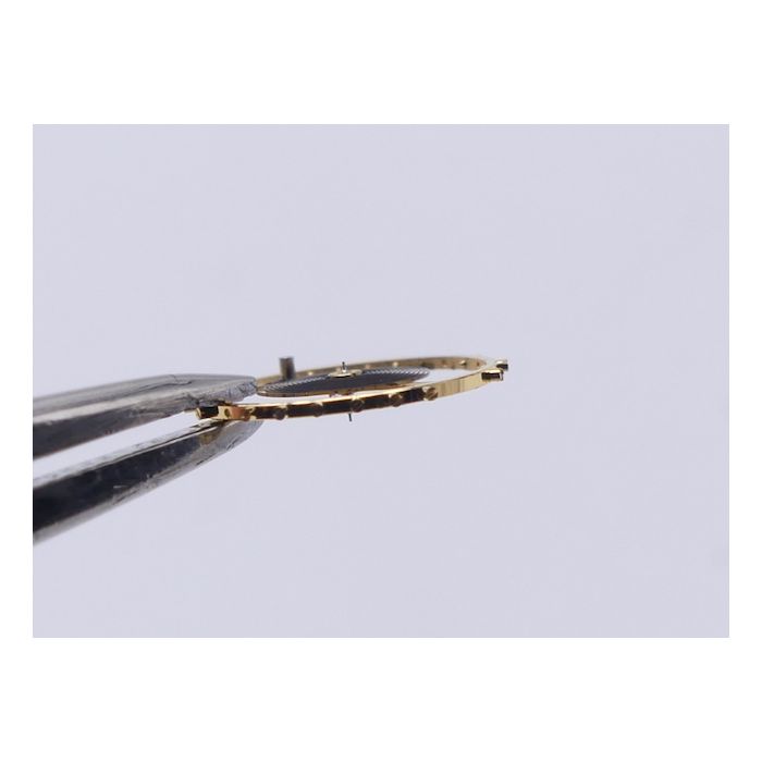 Audemars Piguet 2003 - 721 Balancier - Balance