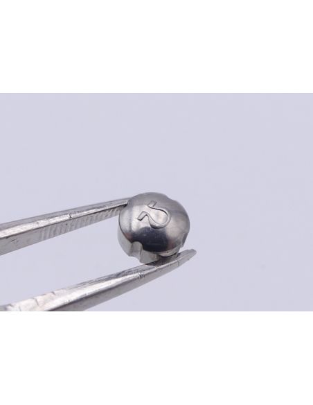 Omega Seamaster CK2576 couronne vintage - steel crown