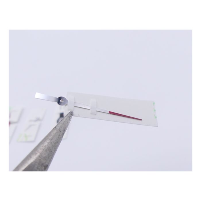 Ebel 1911 Discovery Jeu d'aiguilles - Hands set - 9750L61